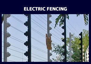 Electric fences - access control and security